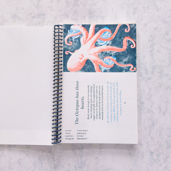 Risobook 1 - "Weird Science"